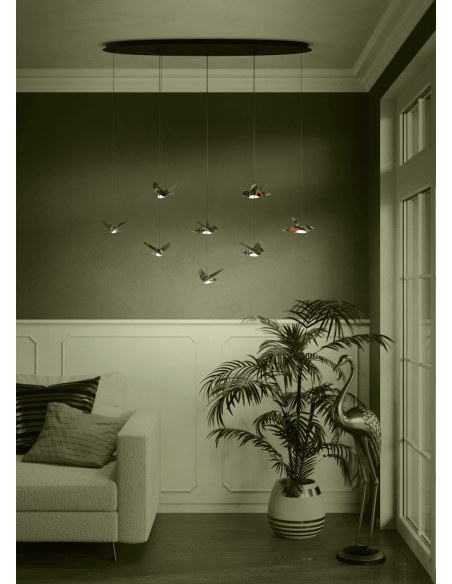 EGLO 390055 - SUSPENSION   - PARATEBUENO
